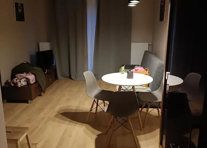 公寓 Apartament Malbork *